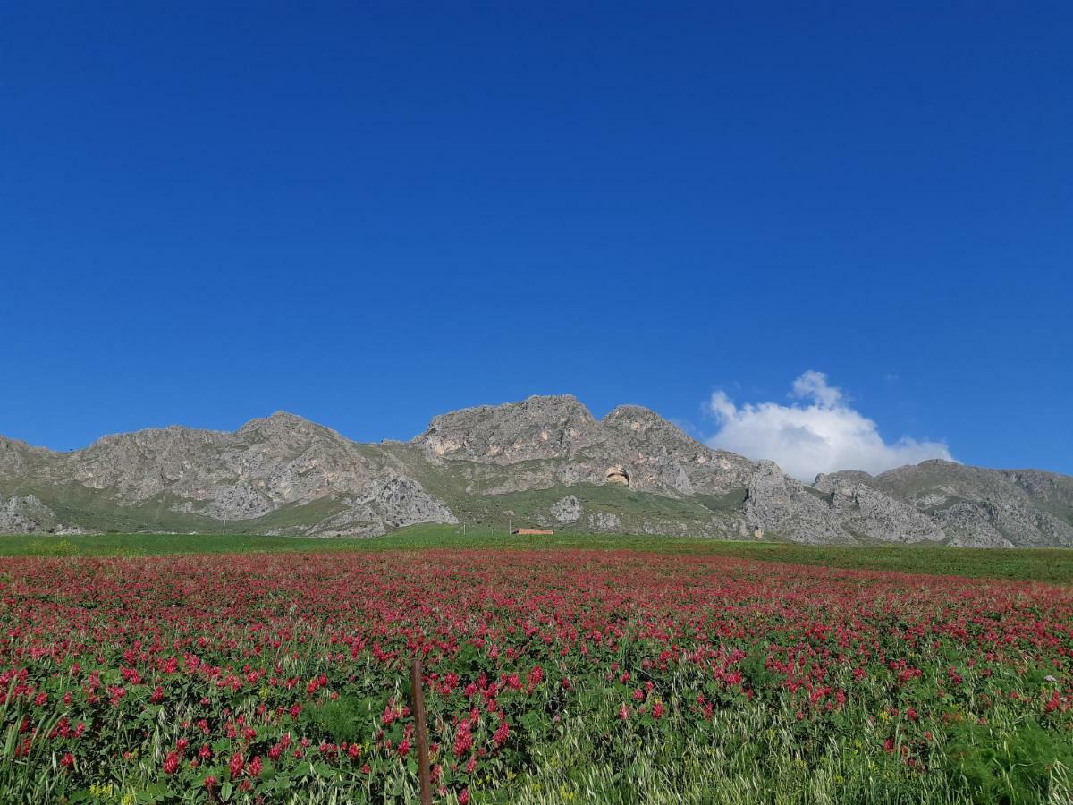 Crapa Licca Villa Ventimiglia di Sicilia Dış mekan fotoğraf