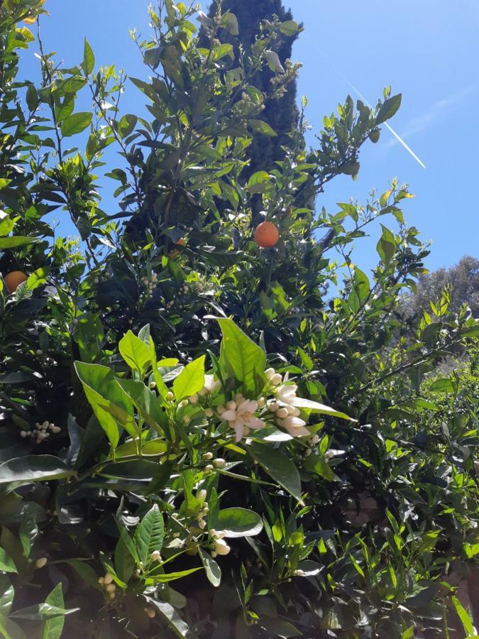Crapa Licca Villa Ventimiglia di Sicilia Dış mekan fotoğraf